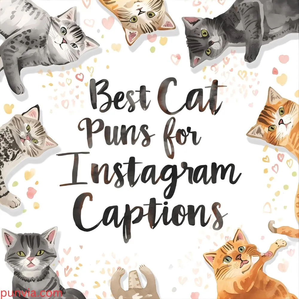 Best Cat Puns for Instagram Captions